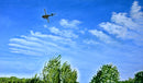 Flypast-1