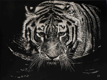 The Tiger Swims at Night