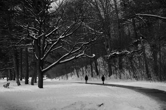 High Park, Winter 2021
