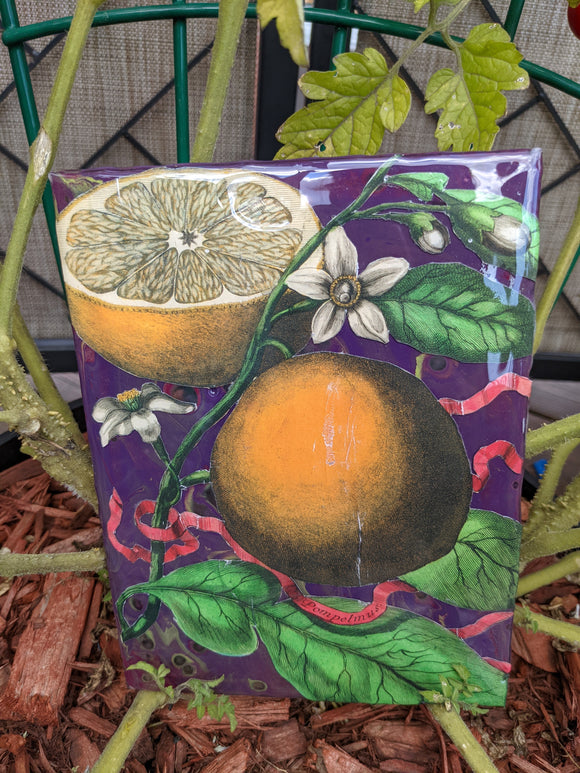 Vintage Orange