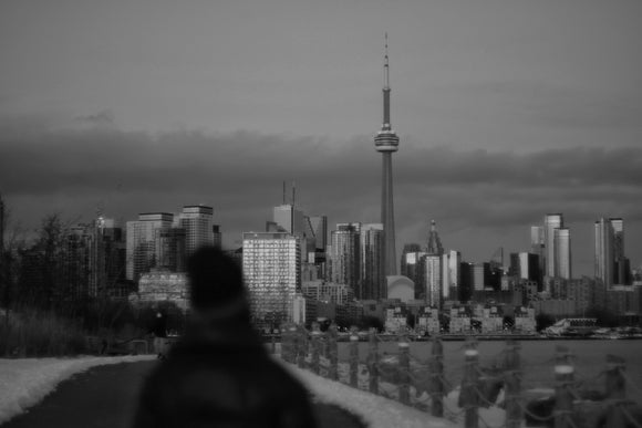 Trillium Park, Winter 2021