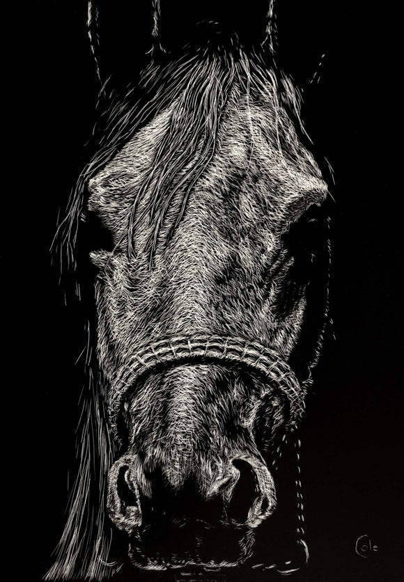 The Pale Horse