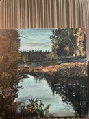 The quiet forest-2