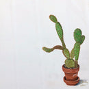 Prickly Pear Cactus-1