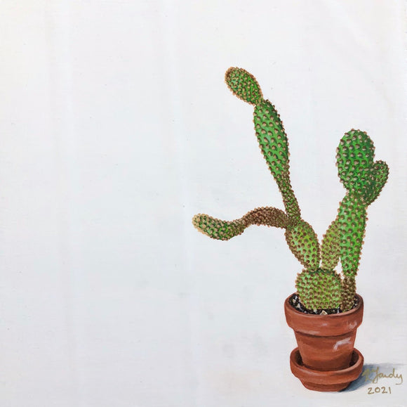 Prickly Pear Cactus