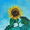 Sunflower-1