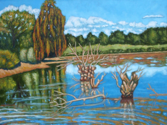 Bloore Pond (Brampton)