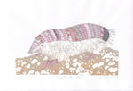 Pink Fairy Armadillow