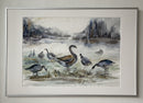 Geese in a foggy park-2