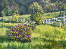 Tranquility-1