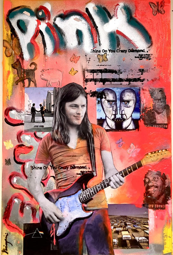 Shine on you crazy Diamond: Tribute to David Gilmour