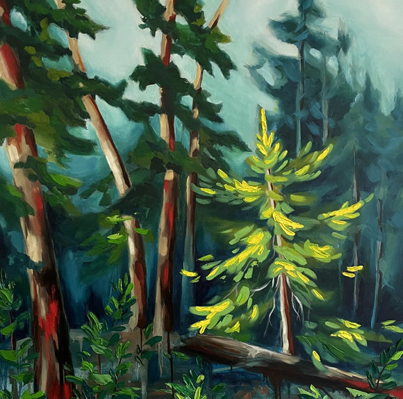 Forest Bath