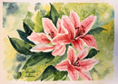 Pink Lilium-1