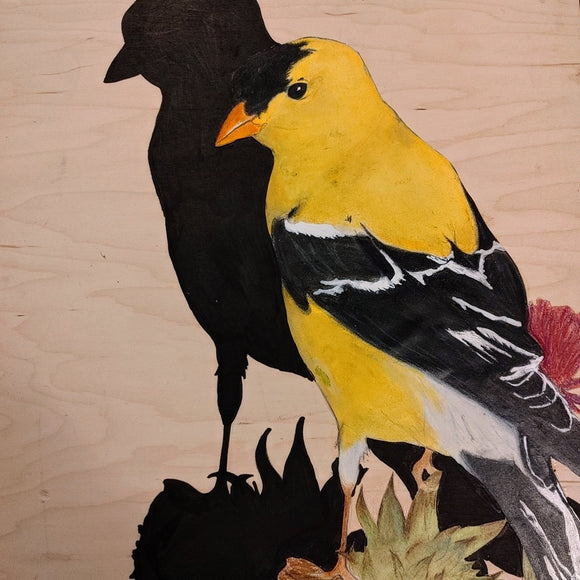 American Goldfinch