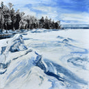 Icescape X-1