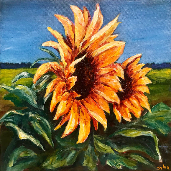 On a Sunny Day