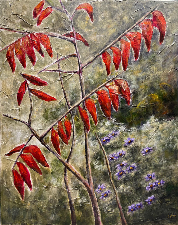 Where Sumac and Asters Meet