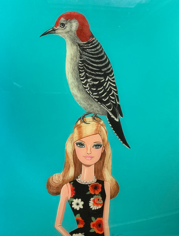 Red Belliedwoodpecker on Barbie Doll