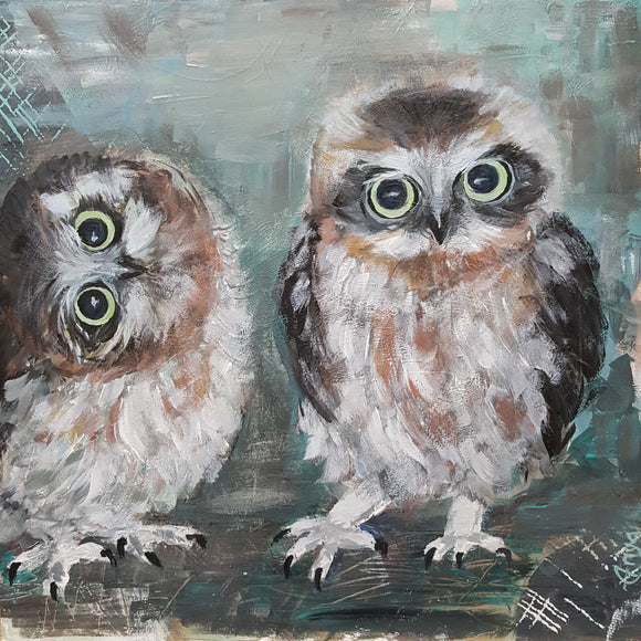 Funny Owl's Babies