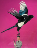Magpie on James Bond-1