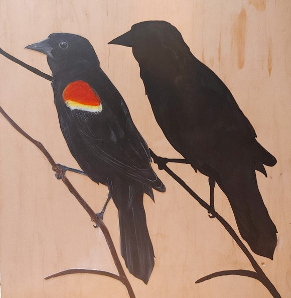 Red Wing Black Bird