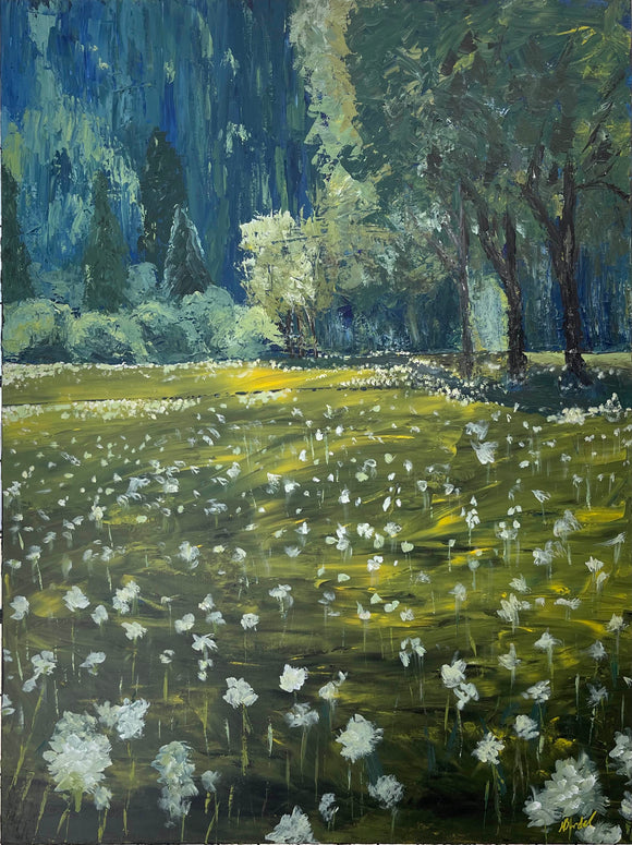 Where the fairies live