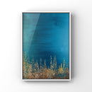 Halcyon-2