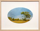 Sheltering Elm Tree-1