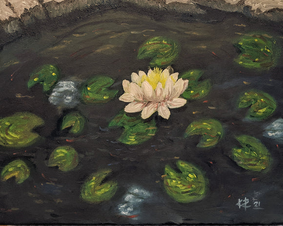 Lily In The Pond