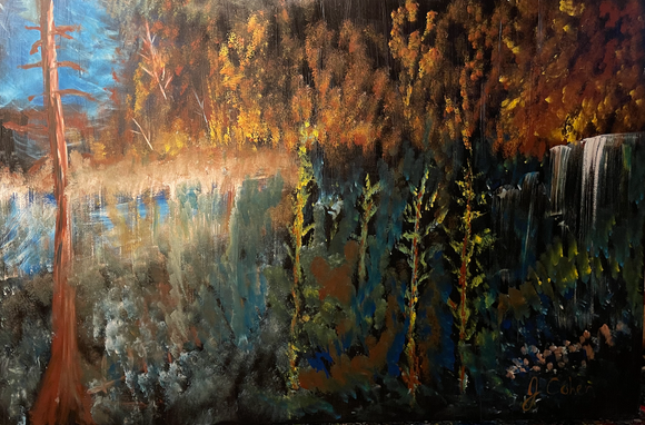 Canadian forest light
