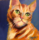 Little Kitty-1