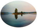 Reflecting Tranquility Spruce Tree-1