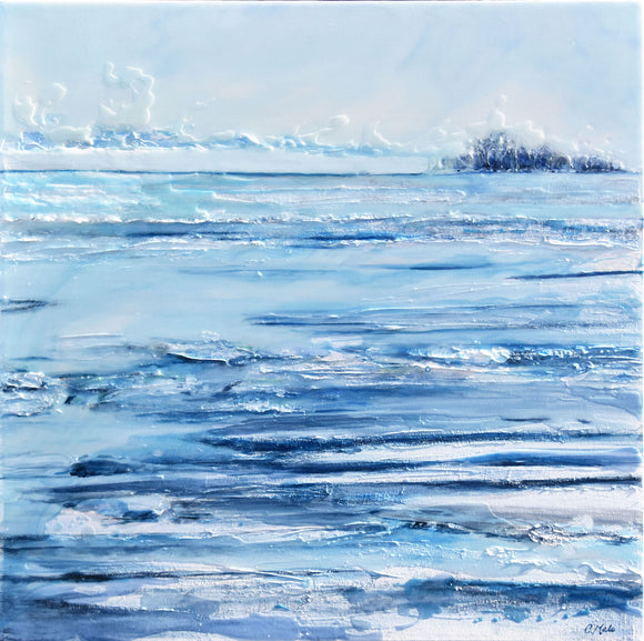 Icescape XIV