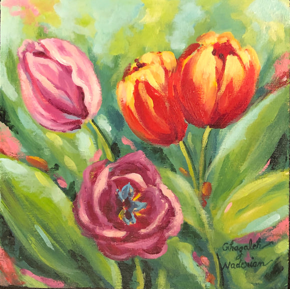 Colorful Tulips