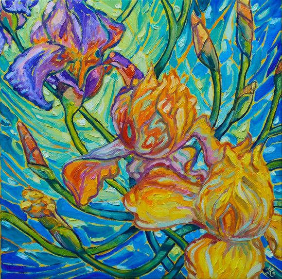 Iris
