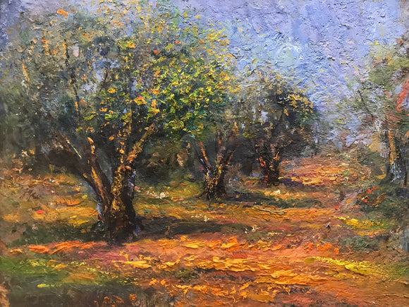 Olive Trees