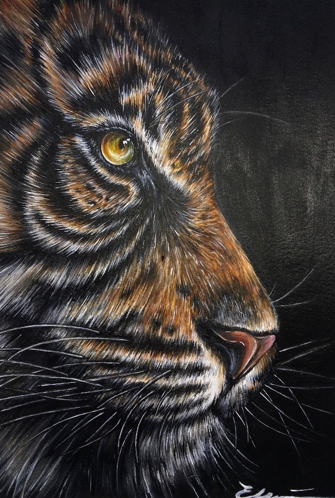 Tiger Side Profile Portrait | helloart