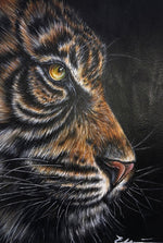 Tiger Side Profile Portrait
