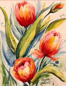 Warm Tulips-1