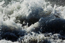 Emtions II-1