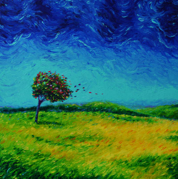 Summer Storm