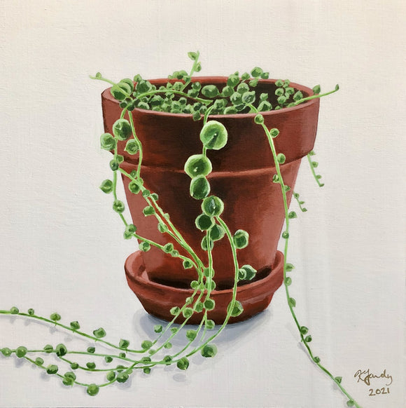 String of Pearls