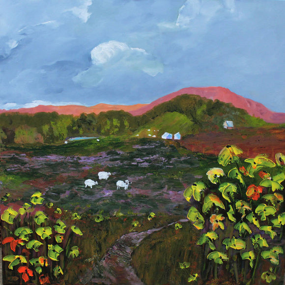 Sheep in Pasture