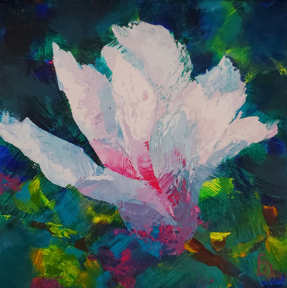 Magnolia