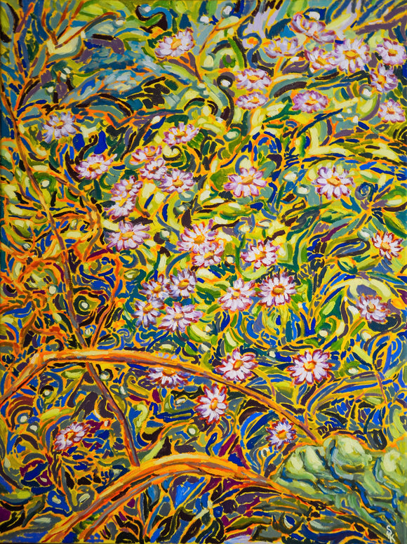 Wild Daisies