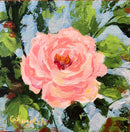 Pink Rose-1