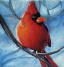 Cardinal-1