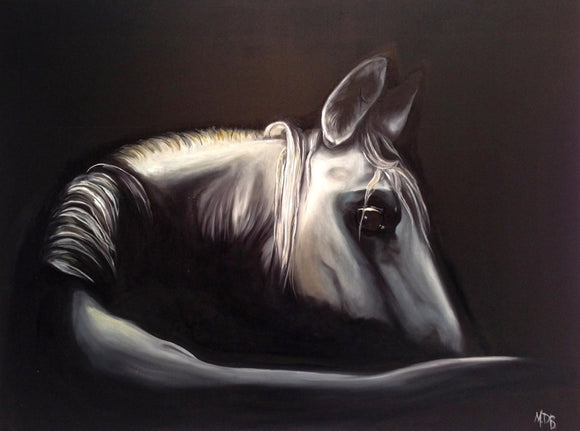 Horse Series - 1