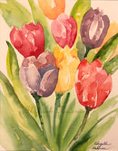 Colorful Tulips-1