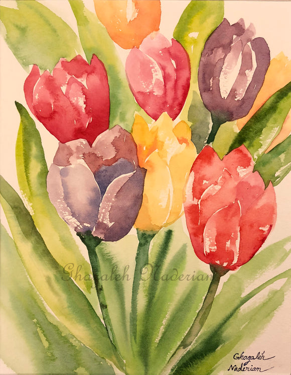 Colorful Tulips